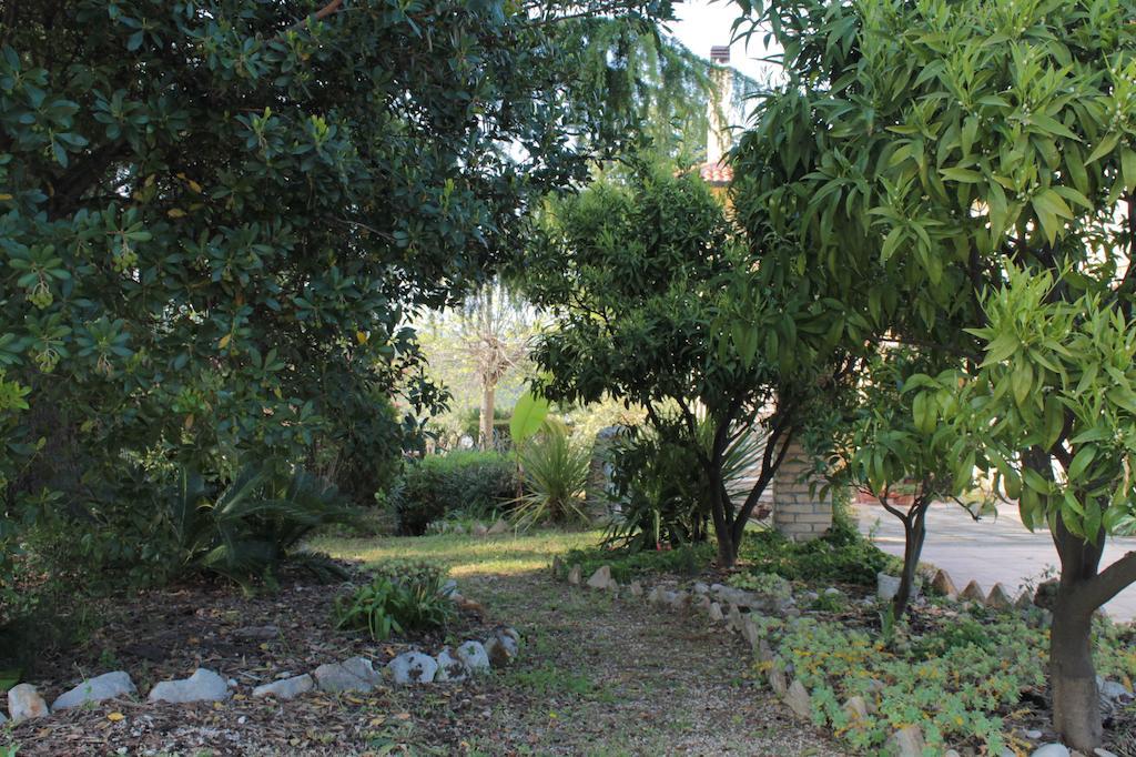 B&B Azzurra Pescara Ngoại thất bức ảnh