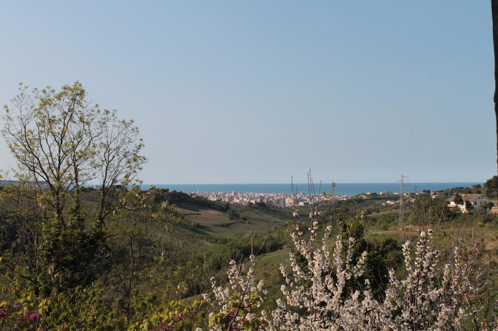 B&B Azzurra Pescara Ngoại thất bức ảnh