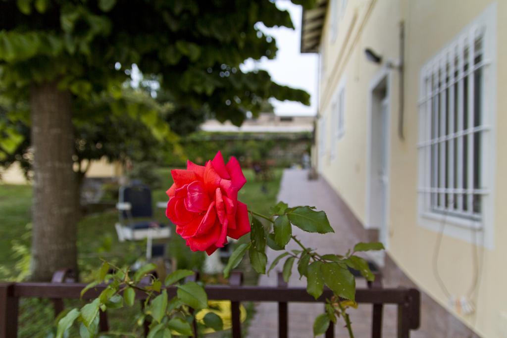 B&B Azzurra Pescara Ngoại thất bức ảnh